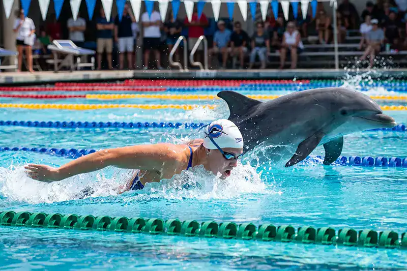 Racing with dolphins, baby!